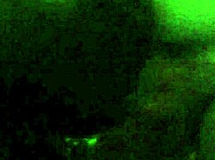 liza pet enjoys her time