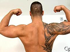 homosexual in natures garb sex