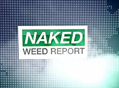 NWR Bölüm 4'te Sıcak Sarışın Hızlı Soyunuyor! 🔥