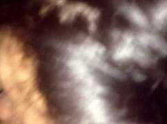 Latina sucking dick in a casual anal story