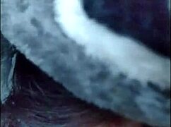 White Wolf Ofc - Ela N�o Pode Me Ver Que J� Quer Chupar Novinha Submissa White Moon