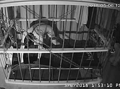 I felt trapped watching cagecam's raw, unedited bondage feed from the cage.