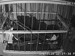 I felt trapped watching cagecam's raw, unedited bondage feed from the cage.