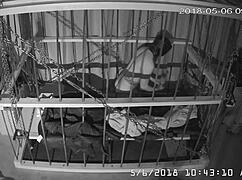 I felt trapped watching cagecam's raw, unedited bondage feed from the cage.