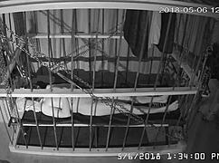 I felt trapped watching cagecam's raw, unedited bondage feed from the cage.