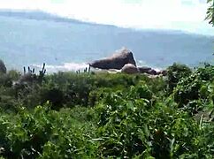 Joy Cardozo Cuckolds On Beach With Bruna Black