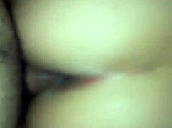 fucking the chilean ass, isn't it hot?