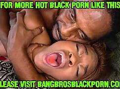 Ebony Babe Gives Harley Dean an Amazing Blowjob