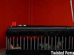 You're just trash to me 😈