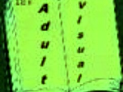 Beautiful Indian woman with big tits and ass in a cartoon porn video