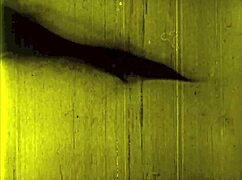 Desene erotice vintage din benzi desenate antice