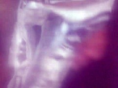 Detailed View Of Rico's Satin Panties