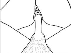 Couple Fucking Drawing Part 2