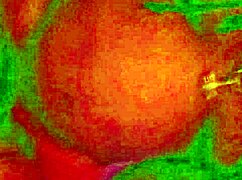 Angelg and Kuzz in Halloween special with monster cocks and interracial action