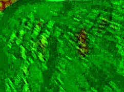 Angelg in Kuzz v posebnem halloween z monstroumnimi kurci in medrasnim akcijo