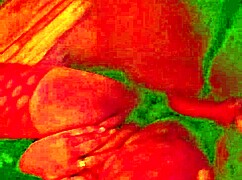 エンジェルGとクズのハロウィン特集！モンスター巨根でインターラシャル