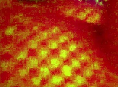 Angelg in Kuzz v posebnem halloween z monstroumnimi kurci in medrasnim akcijo