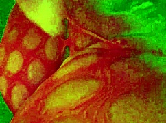 Angelg and Kuzz in Halloween special with monster cocks and interracial action