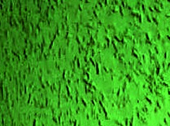 lets play ttpp demo with big tits bbw 😘