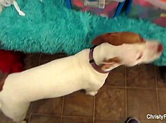 Christy Mack and Nick Manning Engage in Hardcore Fucking with Big Tits Ass Pussy POV Cumshot