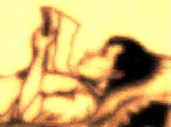 My Secret Life In Vintage Comics And Anime