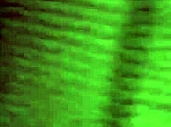 Miss Madii Bbw Latina Receives Oral