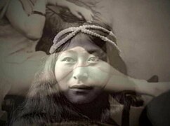 What’s Up with Eskimo Nell’s Hairy Retro Beaver?