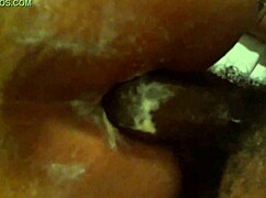 Want Some Anal With Ebony Assfucking?