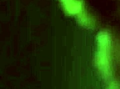 cute miriam prado feels kinky in the library