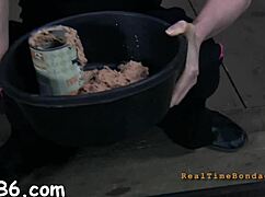 Ferocious whipping on bent over gal in femdom contest with rough bondage