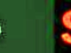 spycam babe picked up and banged