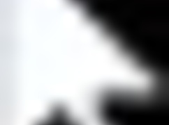 Whoa! What’s Happening in This 3D Hentai Game?