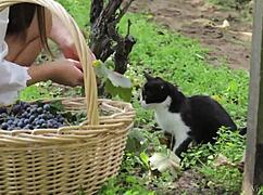 Vivthomas vine hannah sweet subil arch fingering