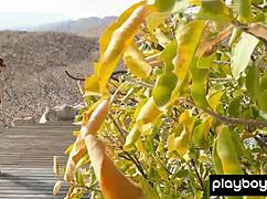 I watch gia ramey strip naked under the mexican sun, her natural tits and shaved pussy on full display