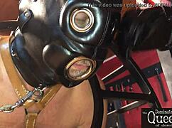 queen dominatrix frida explores bdsm fetish with chastity cage