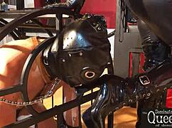 queen dominatrix frida explores bdsm fetish with chastity cage