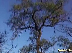 Chubby African Wife Gets Big Ass Fucked By Huge Cock Outdoors