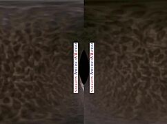 Naughty america vr scene with two chicks, kenna james and veronica weston.