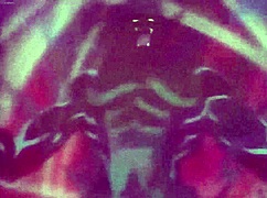 Hentai Anime Gedou Gakuen Episode 2 Packed with Wild Action