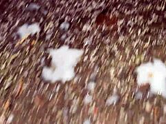 cracky and the tv featuring blonde and brunette amateurs in reality