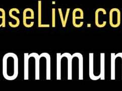 i watch charlee chase fuck vicky vette and puma swede in bikinis by the pool