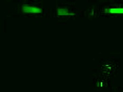 Are you one of the girls now in this femdom twist?