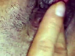 Exploring Mexican Delicacies in Detail