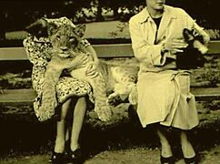 What secrets lie in this vintage erotic cartoon illustration from the past?