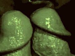 Hey, listen to these vintage confessions from a Victorian gentleman’s erotic life!