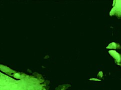 ヘイ、ヴィクトリア朝紳士のエロ生活ビンテージ告白聞いてくれ！