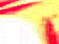 Colombian Guy, Did You Enjoy That Blowjob And Cum In My Mouth?