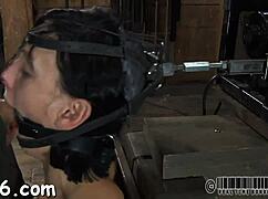 Did you see that horny bunny sucking his cock while her tight pussy got seduced? Legs wide open for rough fucking!