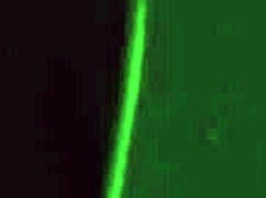 I Crave Feeling Her Warm Cum on Me - 3D Hot Sex