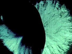 i can’t believe i’m confessing this, but watching vintage milf blowjobs from dark lantern entertainment just gets me with those hairy retro vibes!